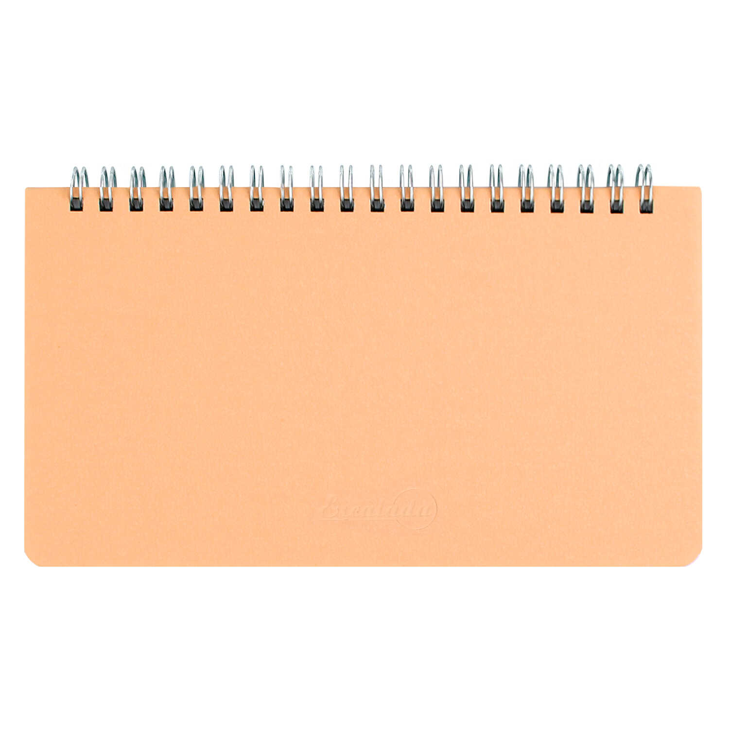 Ежедневник Феникс + ESCALADA 68 лист. - фото 7