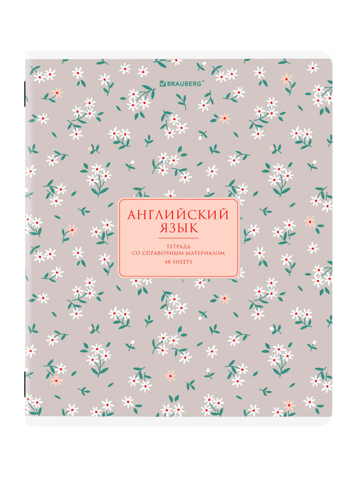 Тетрадь Brauberg 48 лист. 12 шт. - фото 15