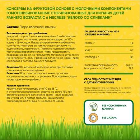 Упаковка пюре Егор Иваныч 6 шт по 100 г Яблоко со сливками