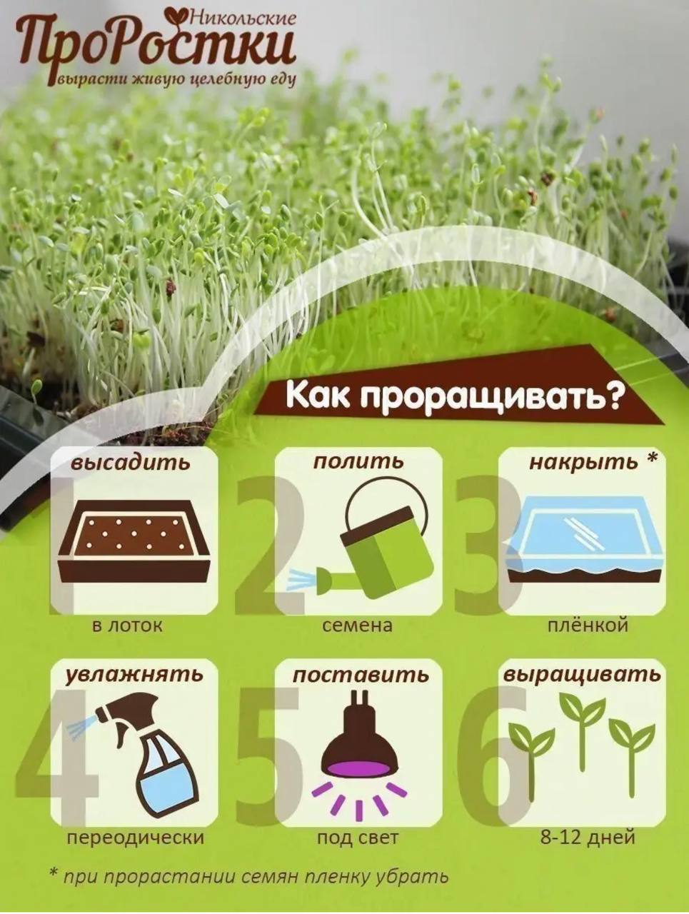 Семена для микрозелени MegaMedia рыжик - фото 8