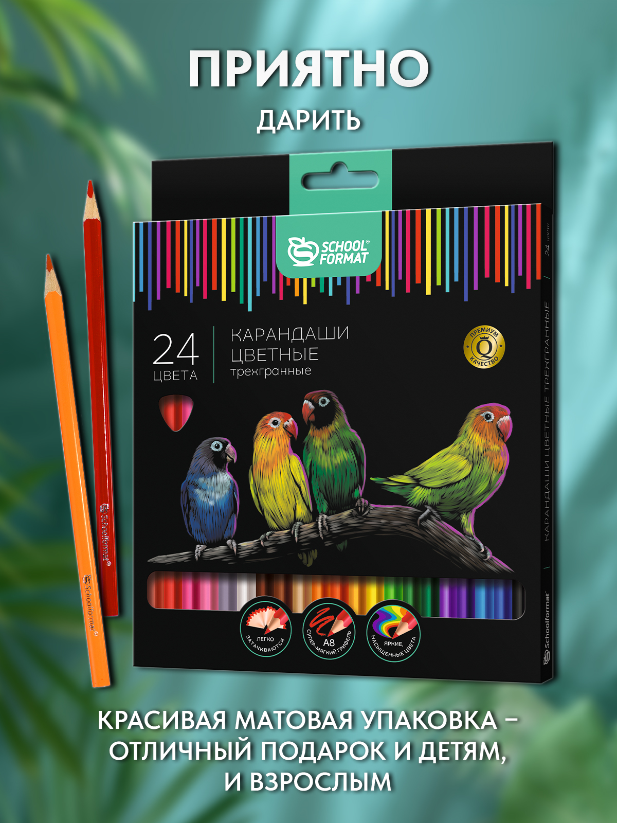 Карандаши цветные SCHOOLFORMAT 24 шт. - фото 8