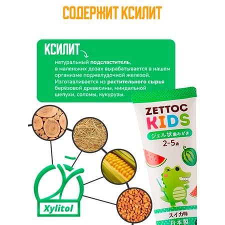 Зубная паста Nippon Zettoc