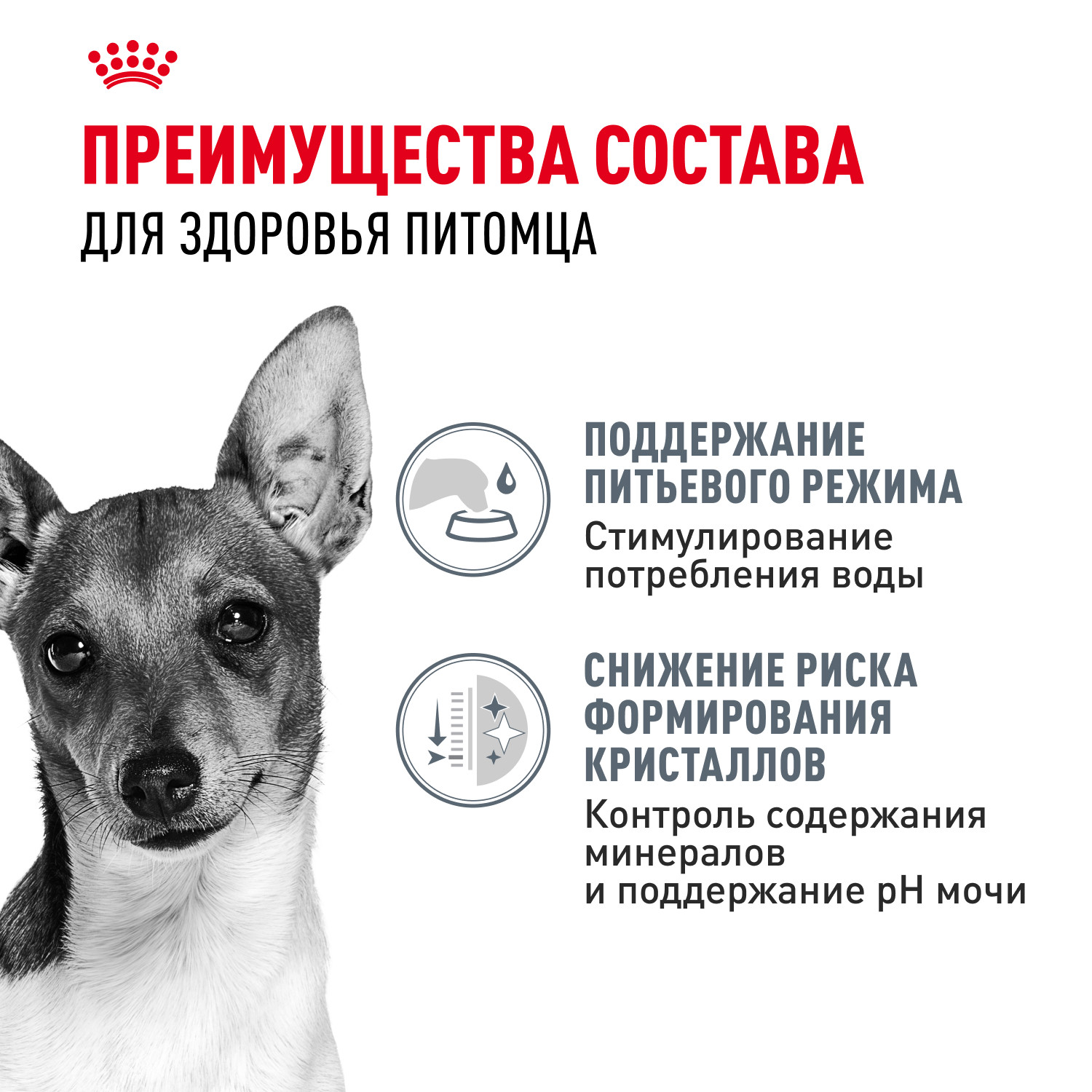 Корм для собак ROYAL CANIN Mini Urinary Care мелких пород профилактика МКБ 1кг - фото 3