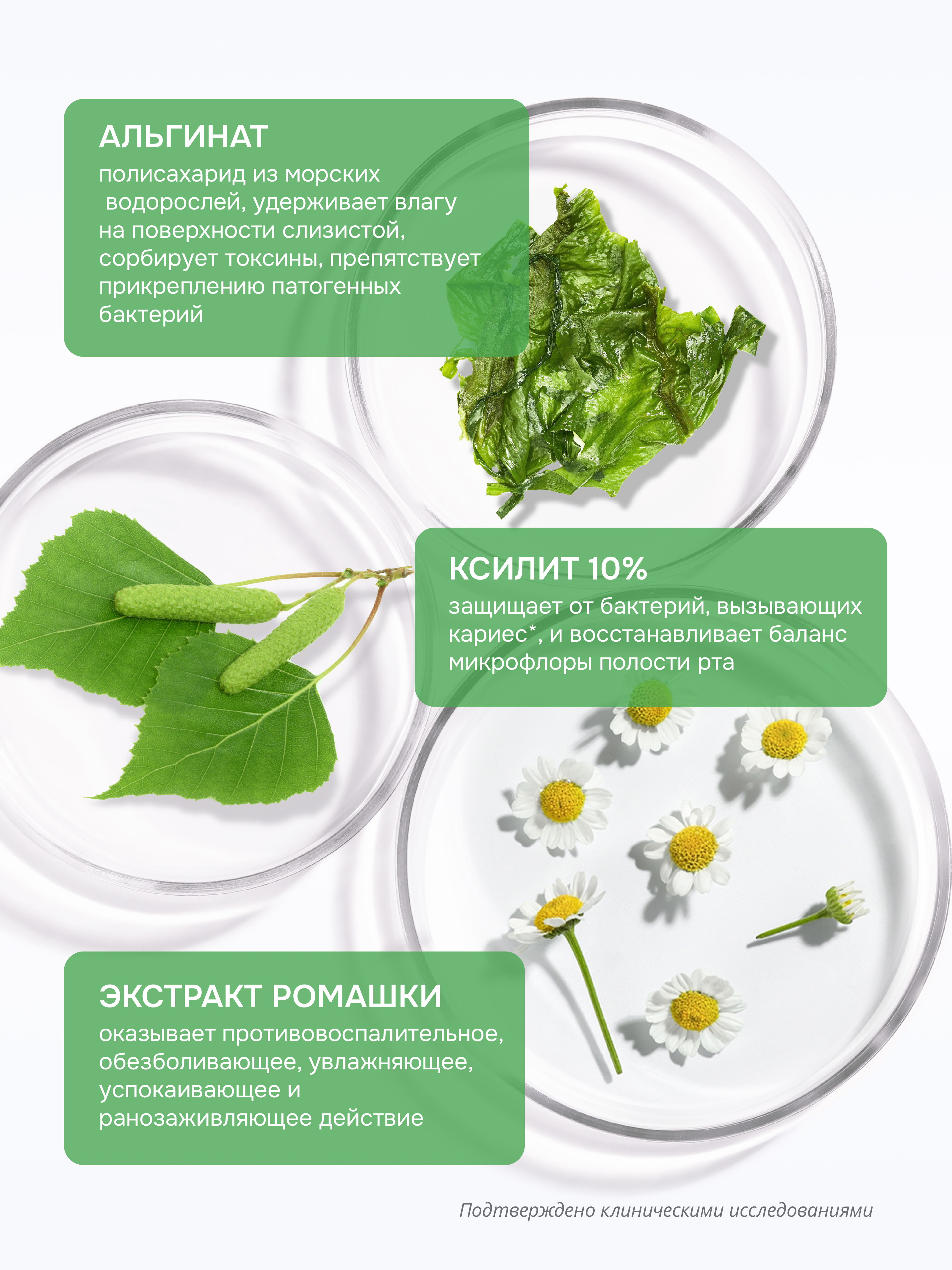 Зубная паста R.O.C.S. Душистая ромашка - фото 2