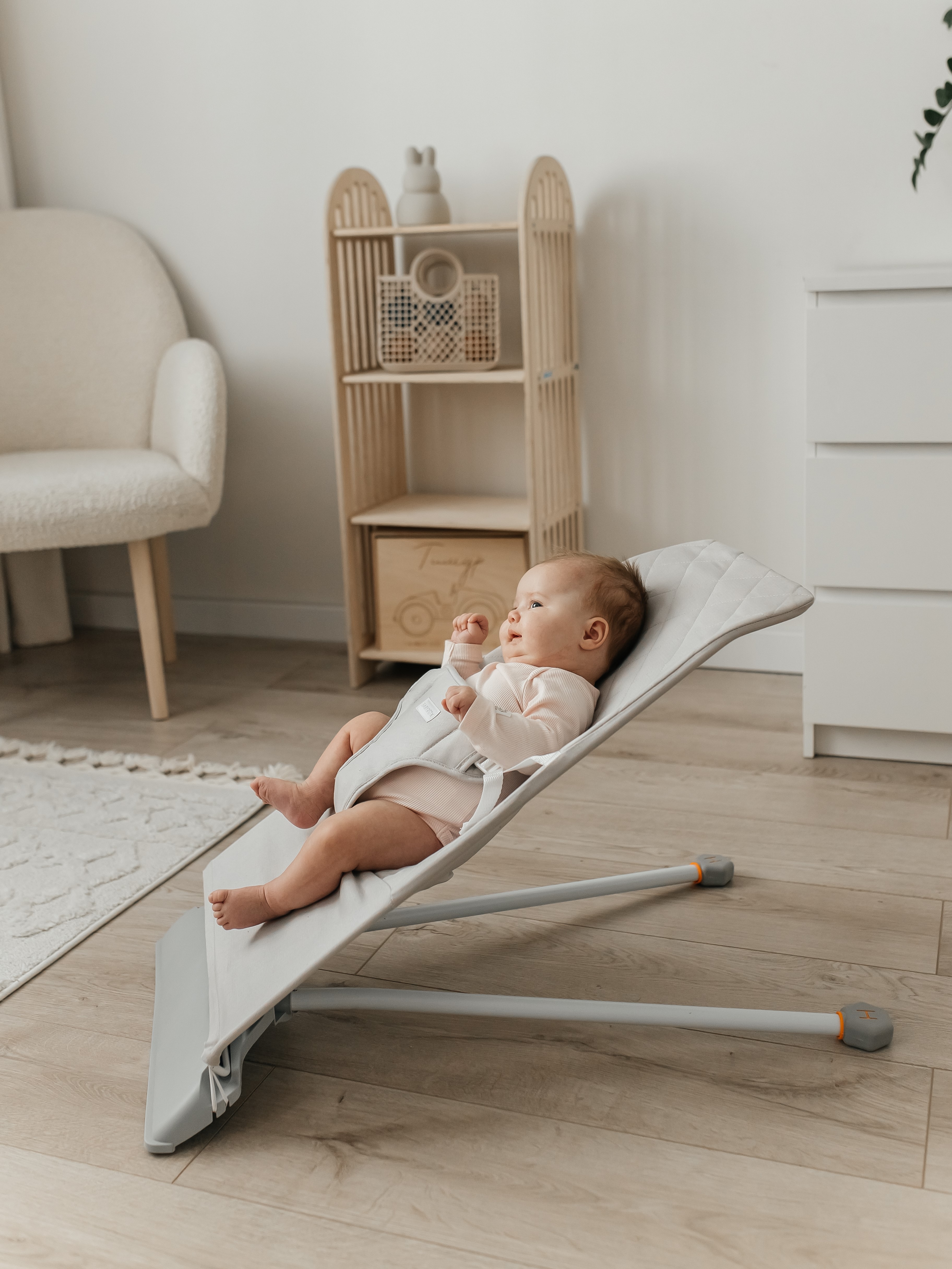 Шезлонг BabyRox - фото 1