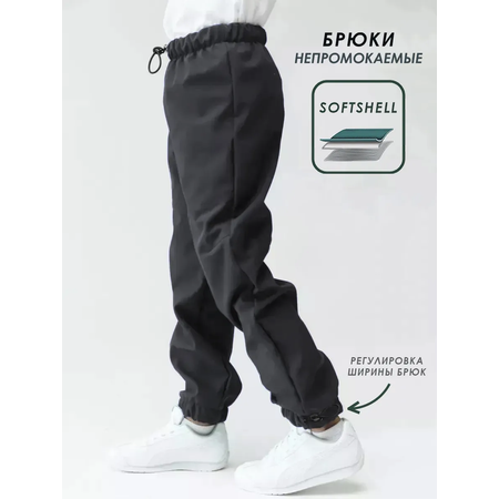 Брюки Lemonwear