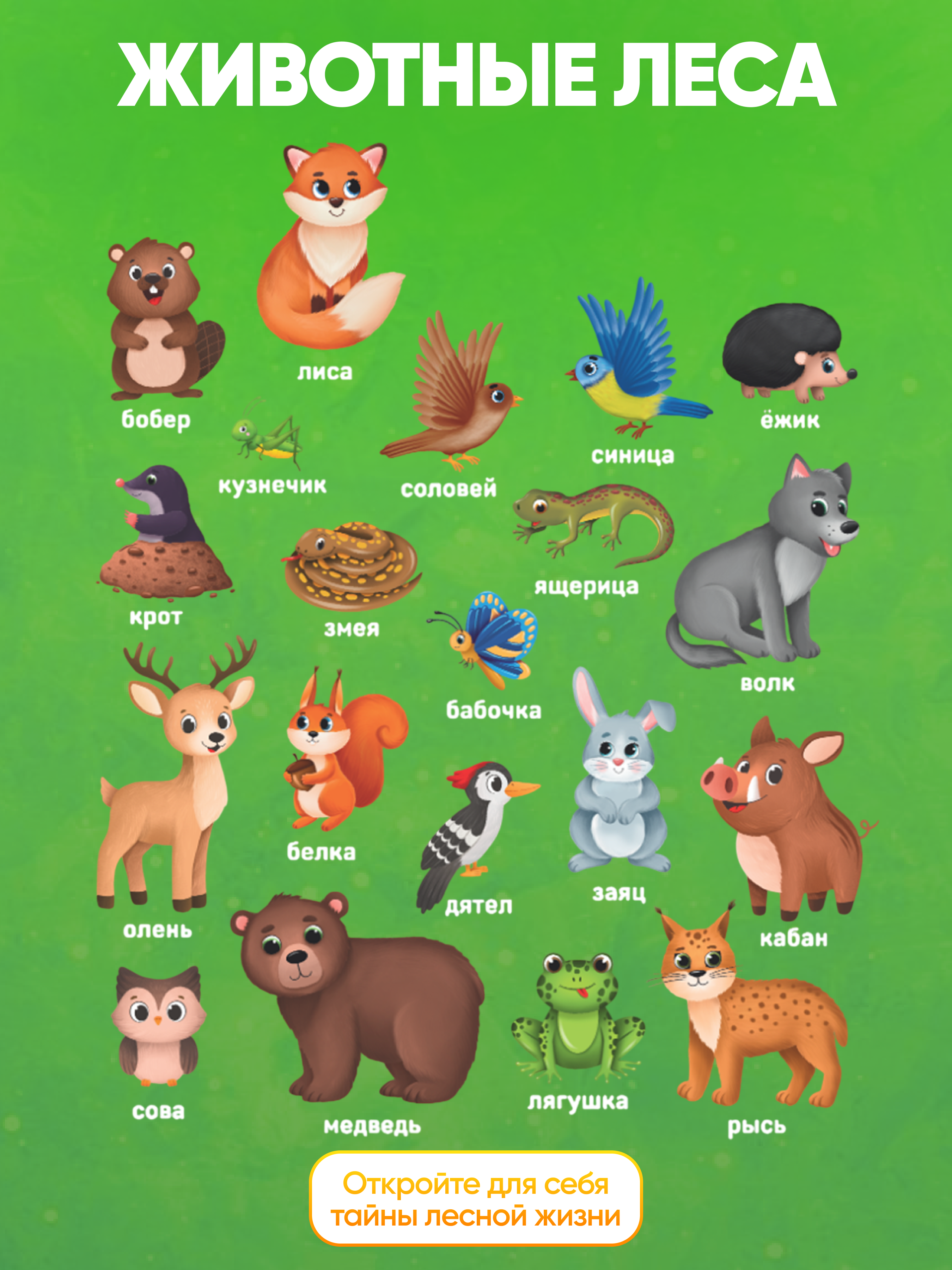 Настольная игра El BascoKids Животные леса - фото 2