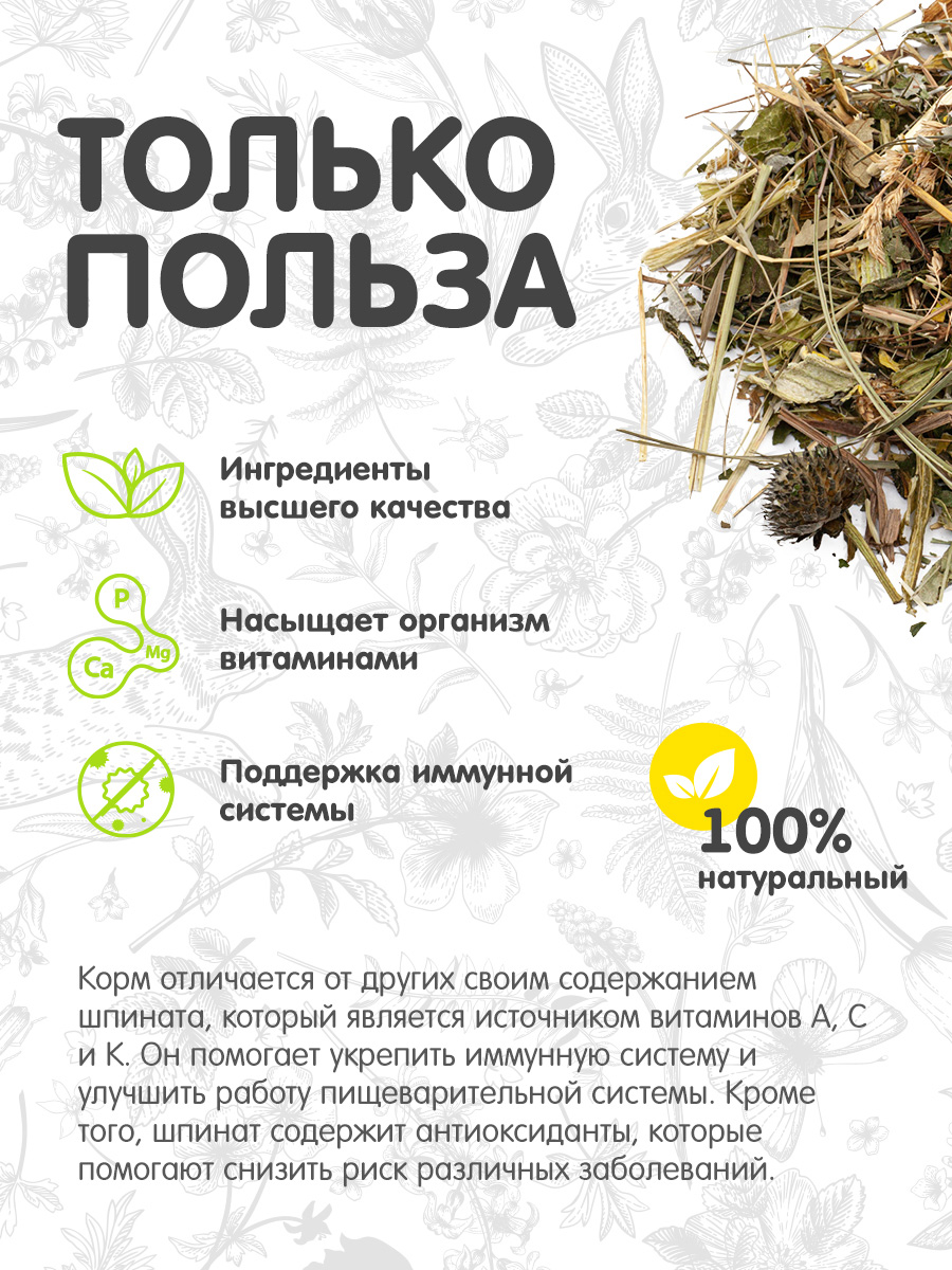 Цветочное лакомство Для ваших питомцев С хвостиком С шпинатом - фото 2