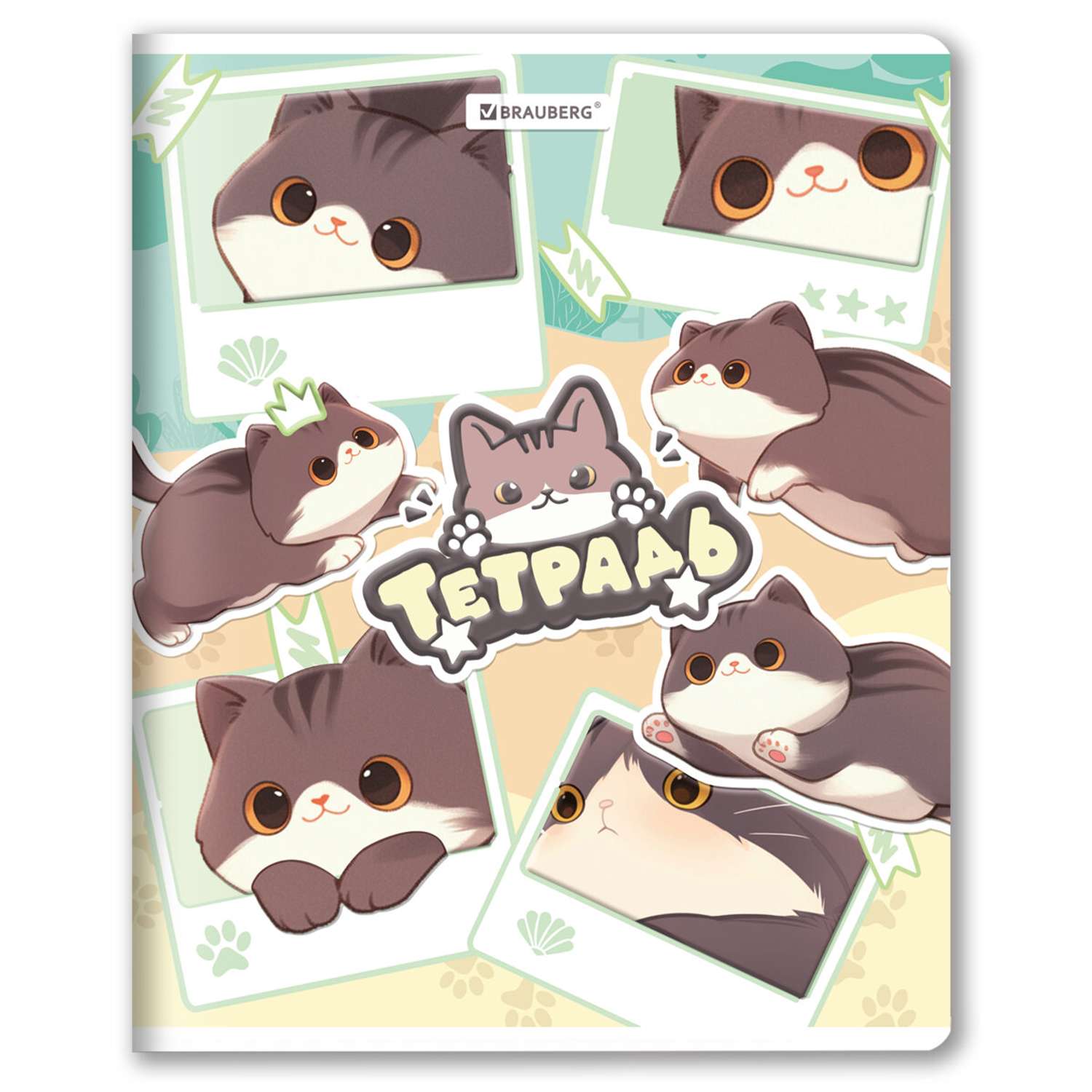 Тетрадь Brauberg клетка 48 лист. в ассортименте - фото 6