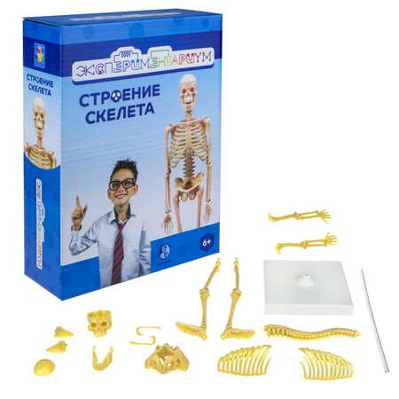 Наглядное пособие ЭКСПЕРИМЕНТАРИУМ