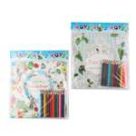 Набор для рисования . с карандашами большой в ассортименте