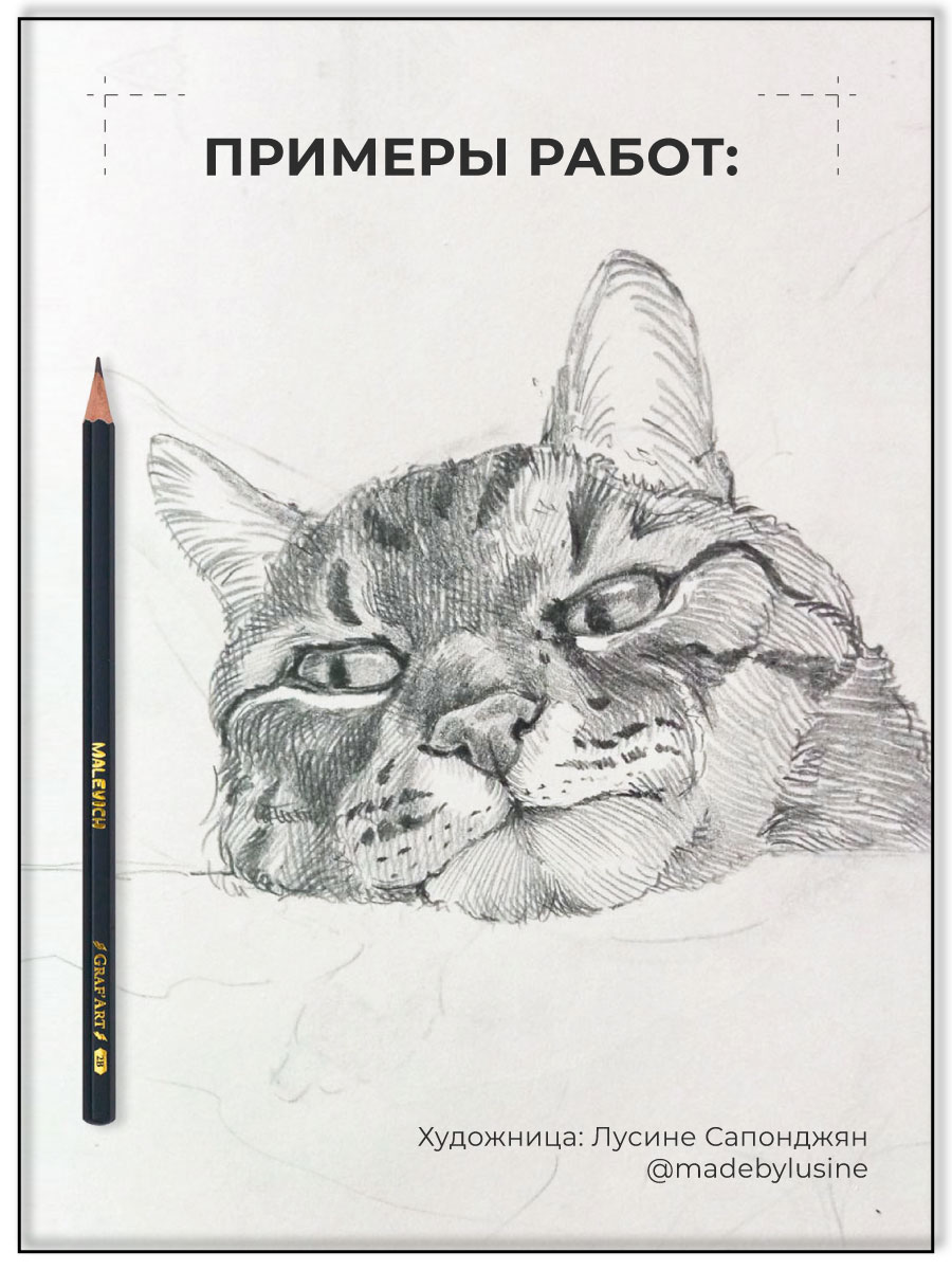 Карандаши чернографитные Малевичъ 8 шт. - фото 7