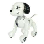 Собака РУ Veld Co