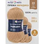 Пряжа для вязания Astra Premium Эвридика 100 г 200 м 3 шт