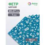 Фетр Astra Craft 10 лист.