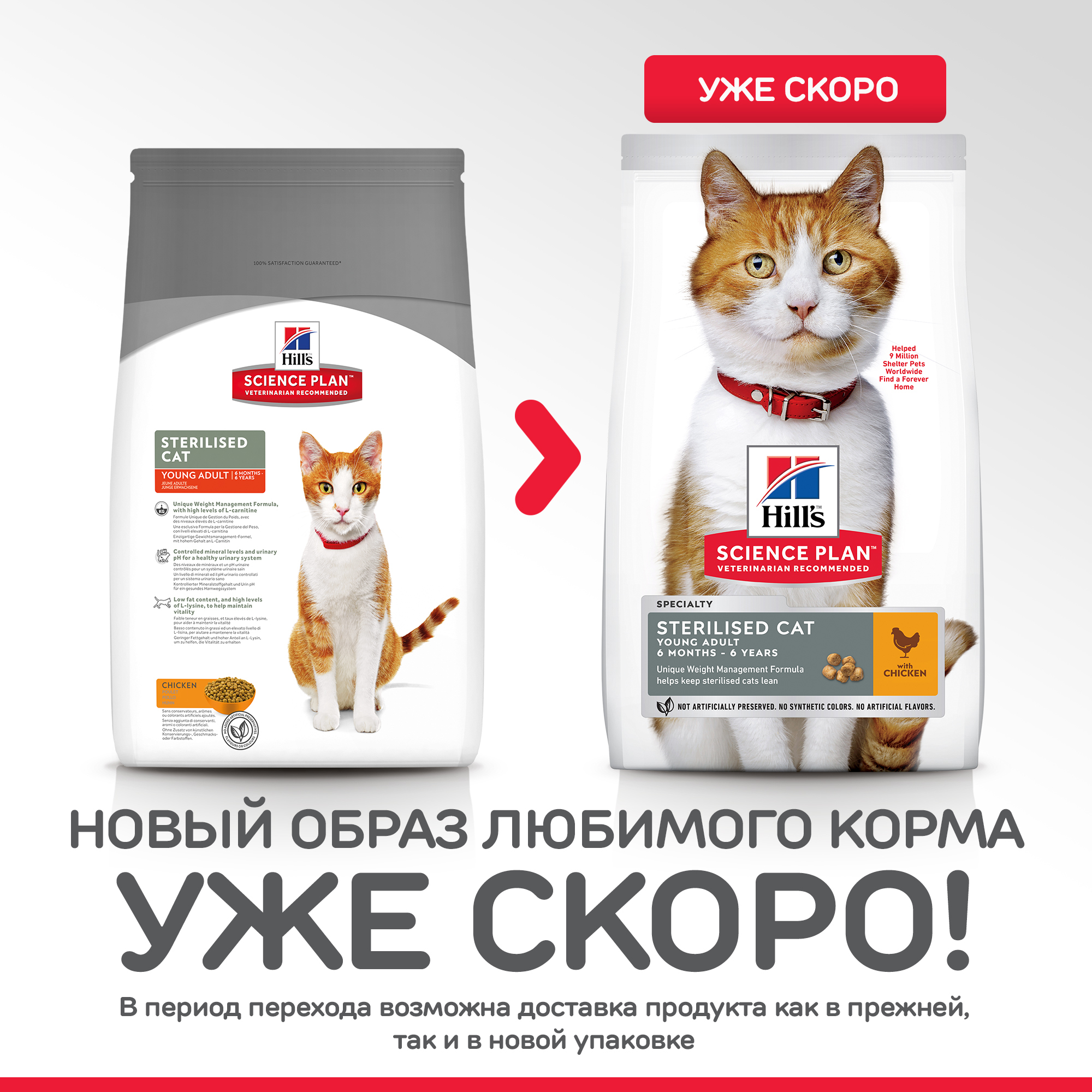 Корм сухой для кошек HILLS 3,5кг Science Plan Sterilised Cat с курицей для стерилизованных - фото 2