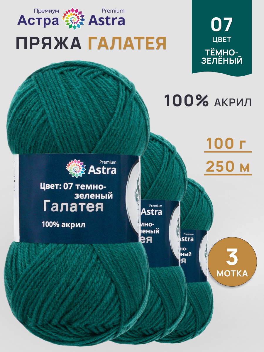Пряжа Astra Premium Галатея акриловая 100 г 250 м 07 темно-зеленый 3 мотка - фото 1