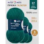 Пряжа Astra Premium Галатея акриловая 100 г 250 м 07 темно-зеленый 3 мотка