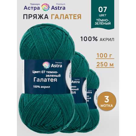 Пряжа Astra Premium Галатея акриловая 100 г 250 м 07 темно-зеленый 3 мотка