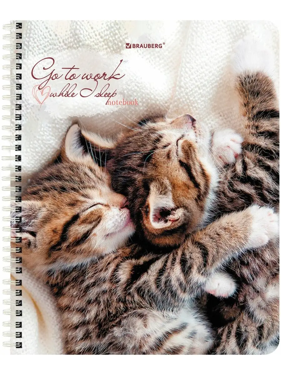 Тетрадь Brauberg клетка 96 лист. 4 шт. - фото 3