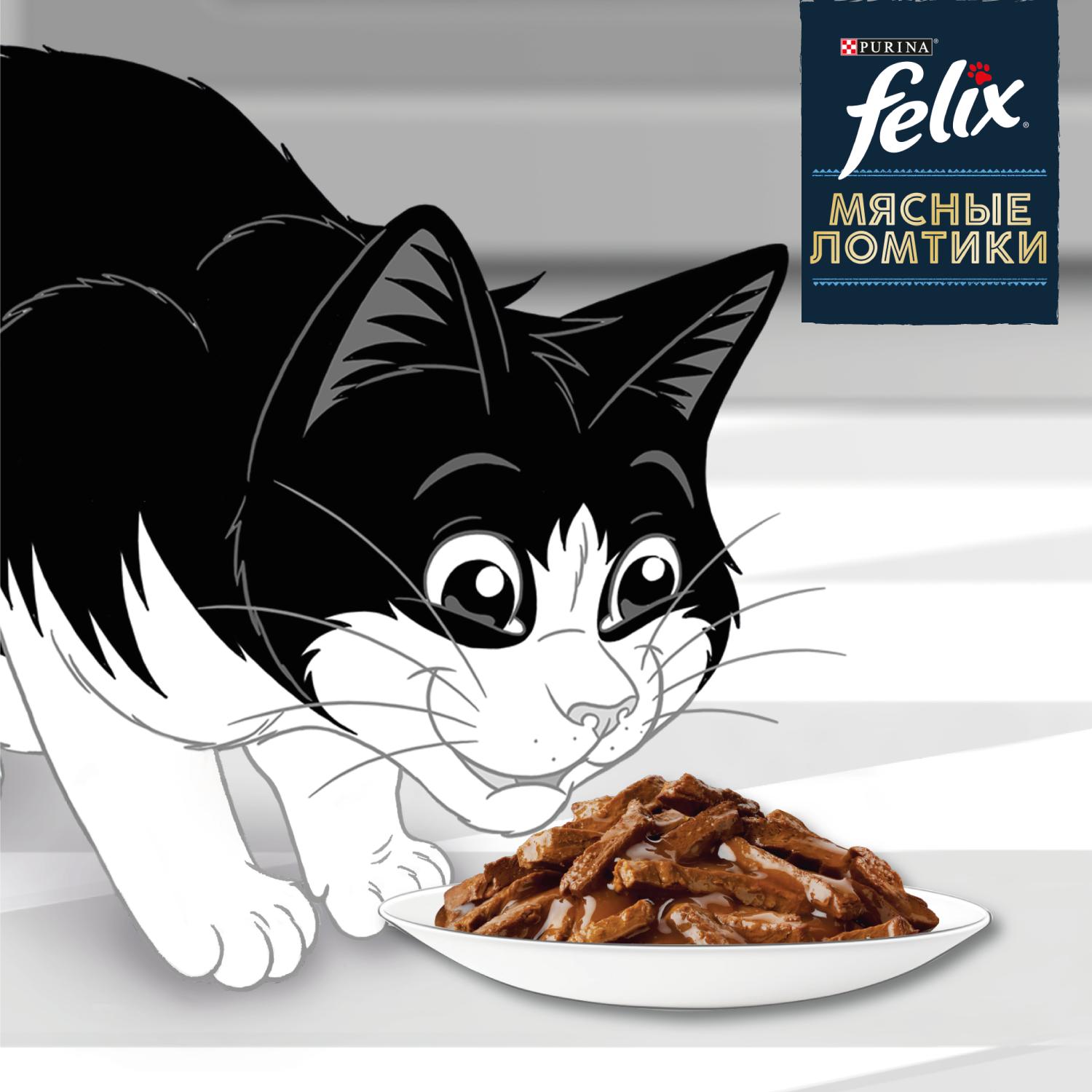Корм для кошек Felix Мясные Ломтики влажный с говядиной 75г - фото 4