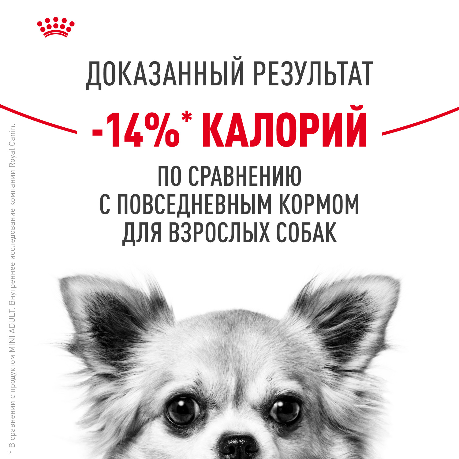 Корм для собак ROYAL CANIN Mini Sterilised стерилизованных 3кг - фото 4
