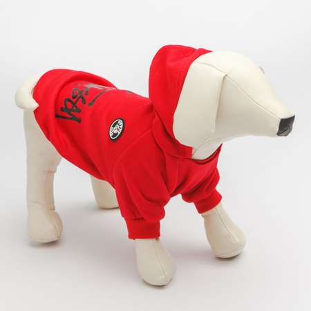 Толстовка для собак PIFPAF DOG