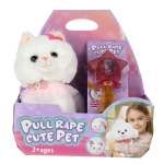 Кошка РУ Veld Co