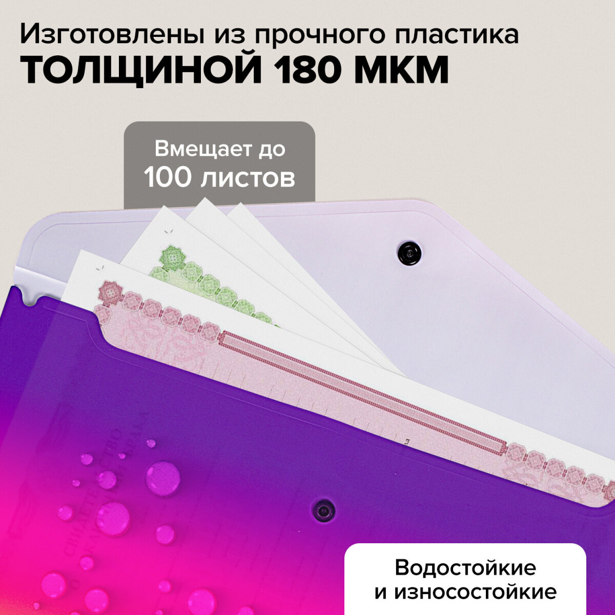 Папка для тетрадей Brauberg А4 - фото 3