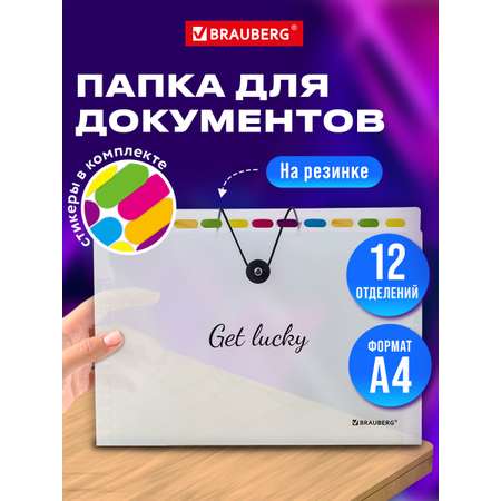 Папка-органайзер Brauberg А4