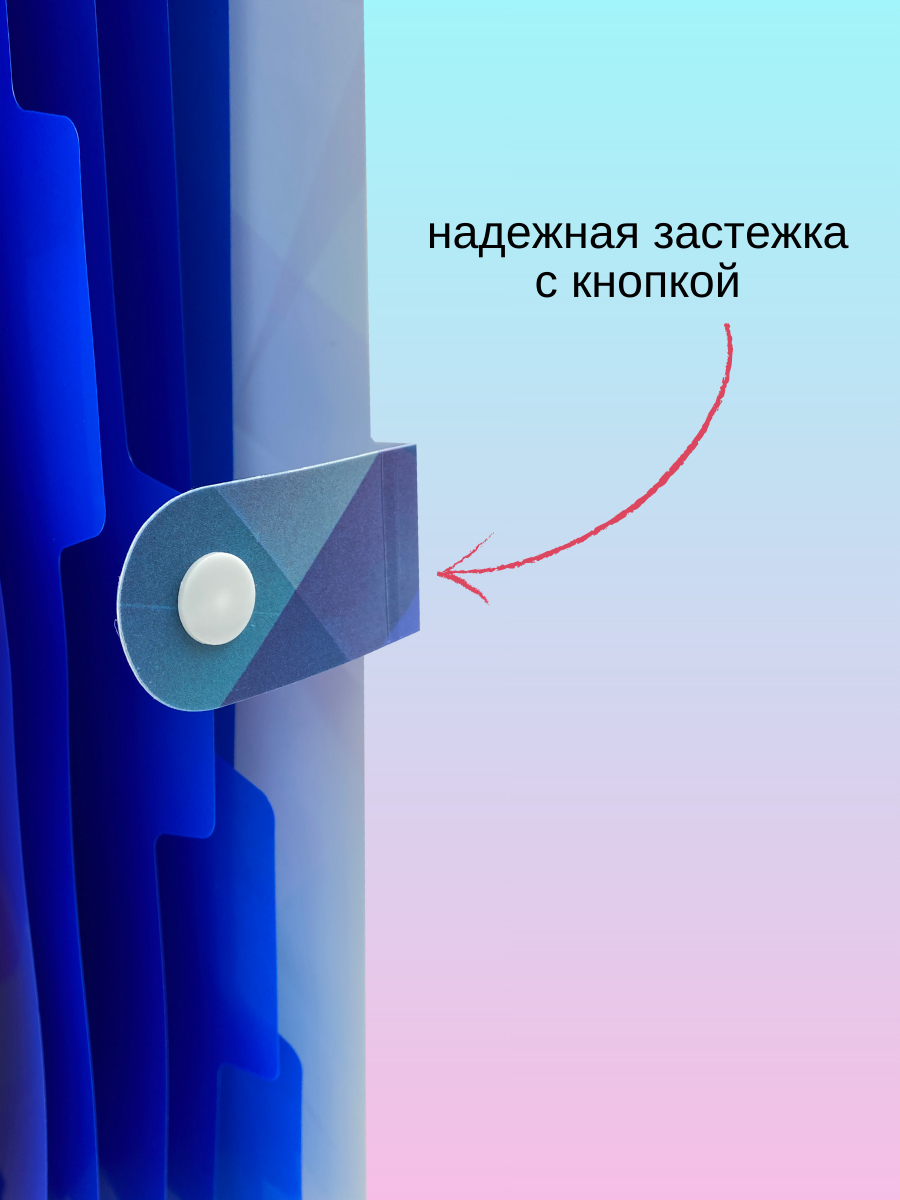 Папка-органайзер AXLER с разделителями А4 - фото 5