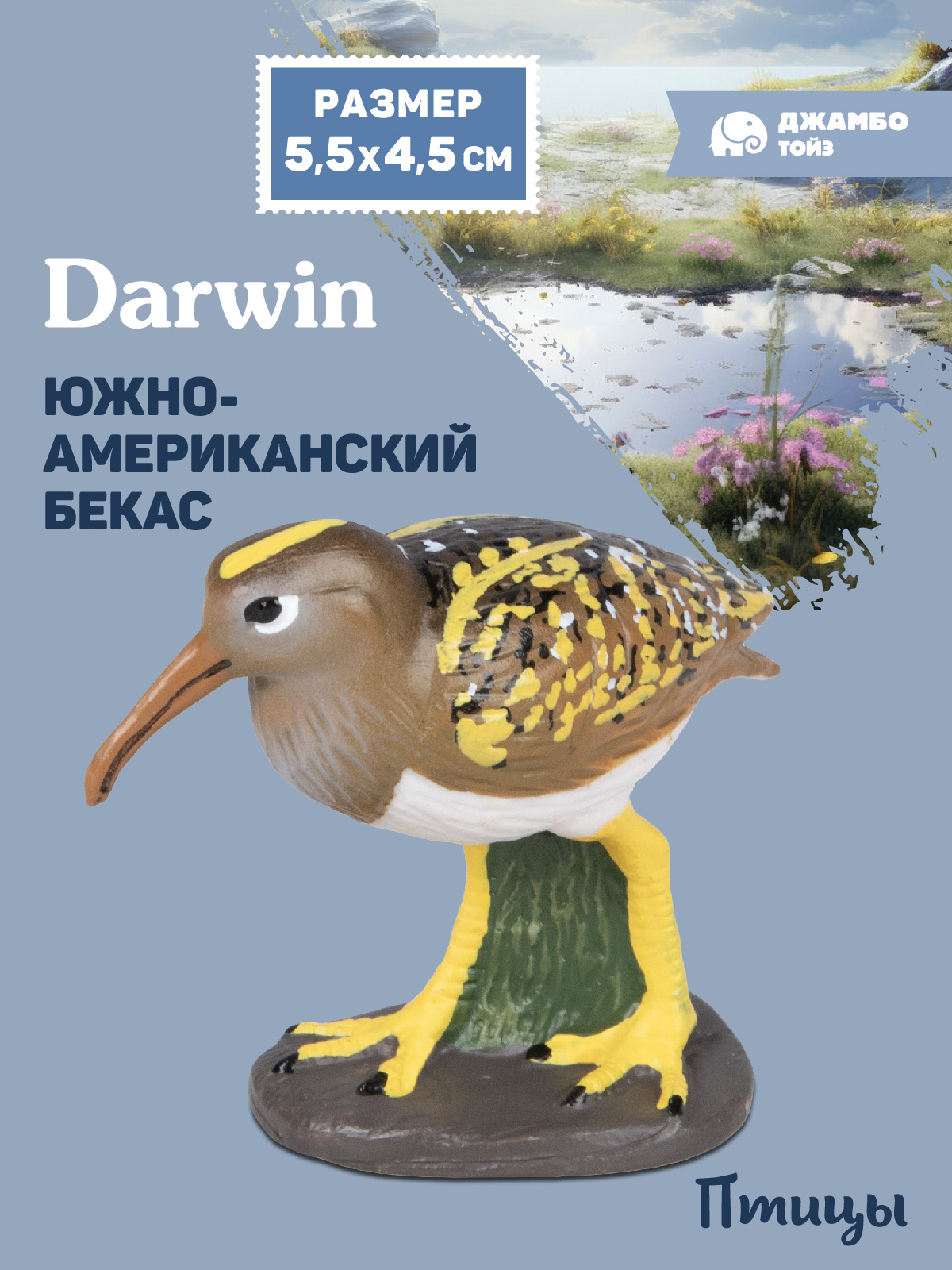 Фигурка DARWIN Птицы Южноамериканский бекас - фото 1