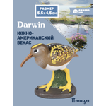 Фигурка DARWIN Птицы Южноамериканский бекас