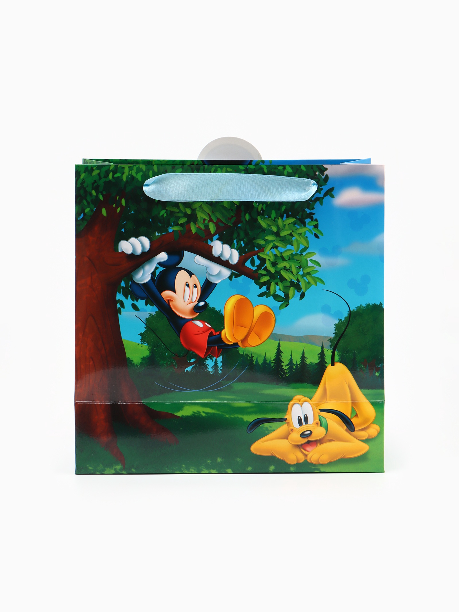 Пакет подарочный Disney Мышонок 22 × 22 × 10 см - фото 5