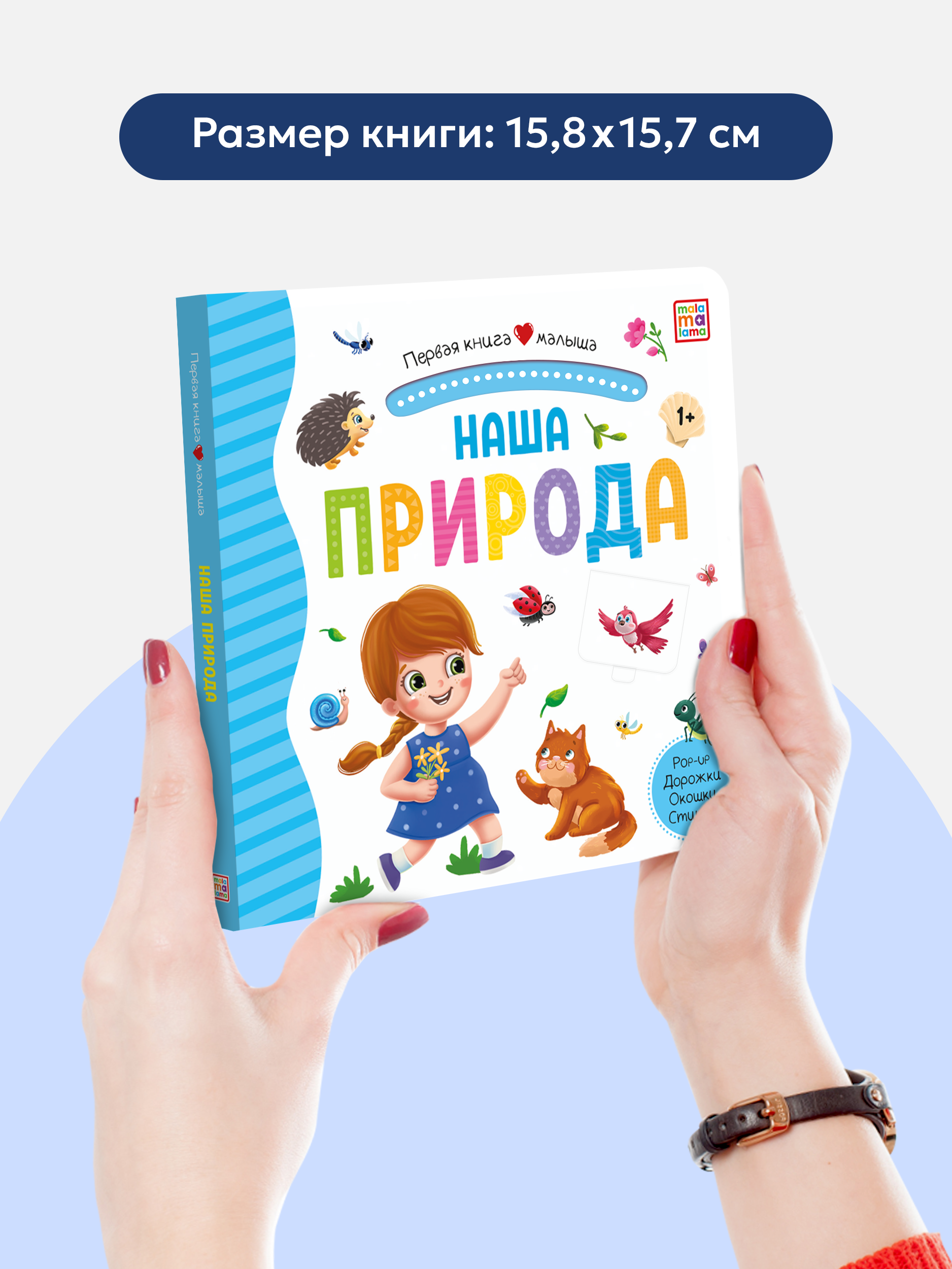 Книга Malamalama с окошками лабиринтами и 3D картинками. Наша природа - фото 7