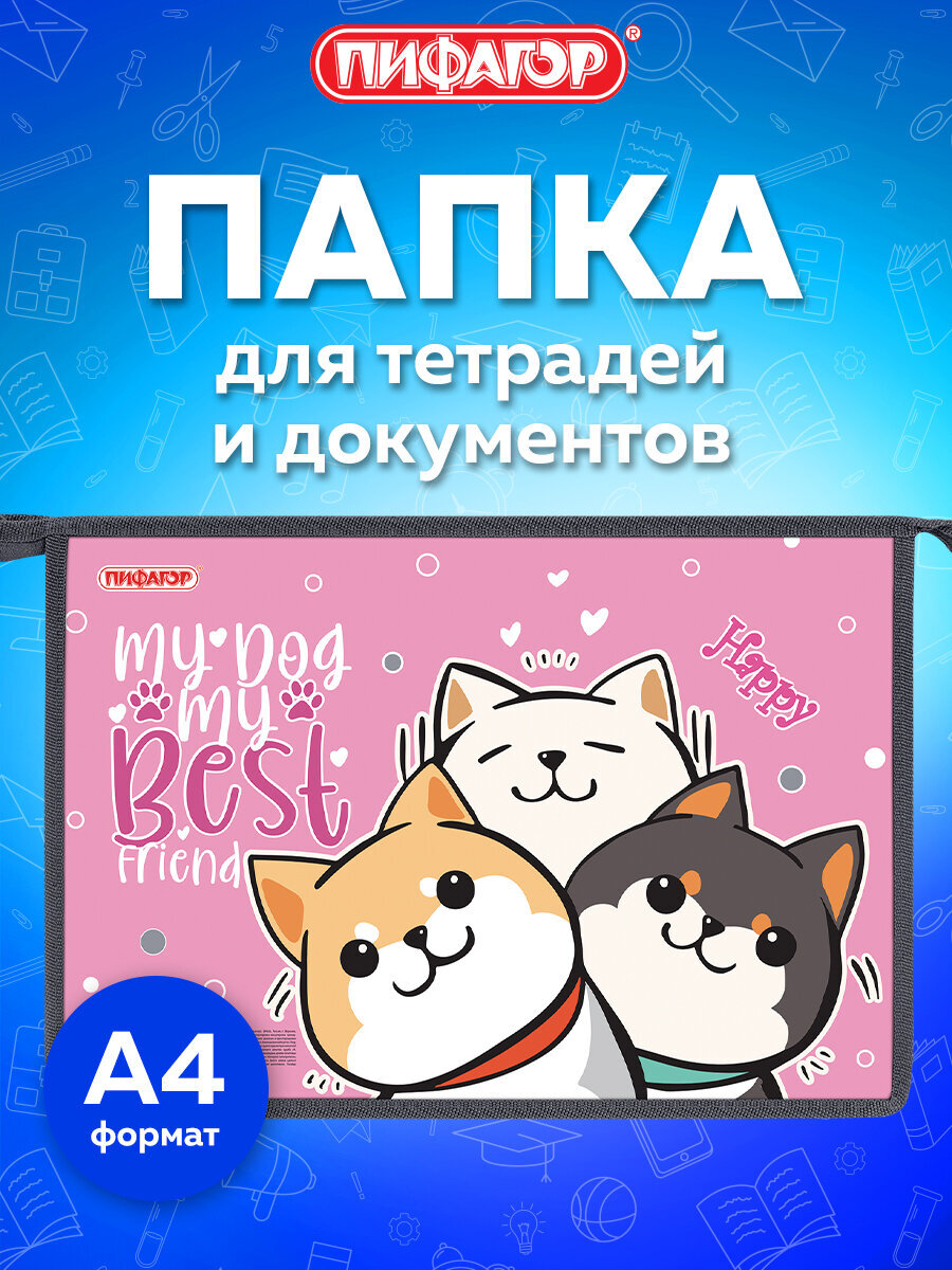 Изображение товара Папка для тетрадей А4 Пифагор Best Team для девочек с застежкой-молнией Изображение товара Папка для тетрадей А4 Пифагор Best Team для девочек с застежкой-молнией