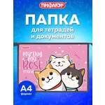 Папка для тетрадей Пифагор лучшая команда А4