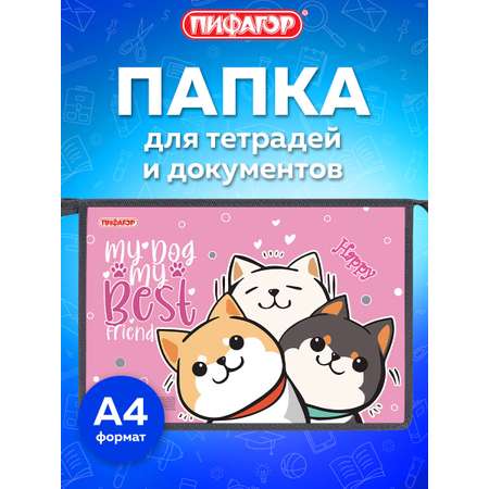 Папка для тетрадей Пифагор лучшая команда А4