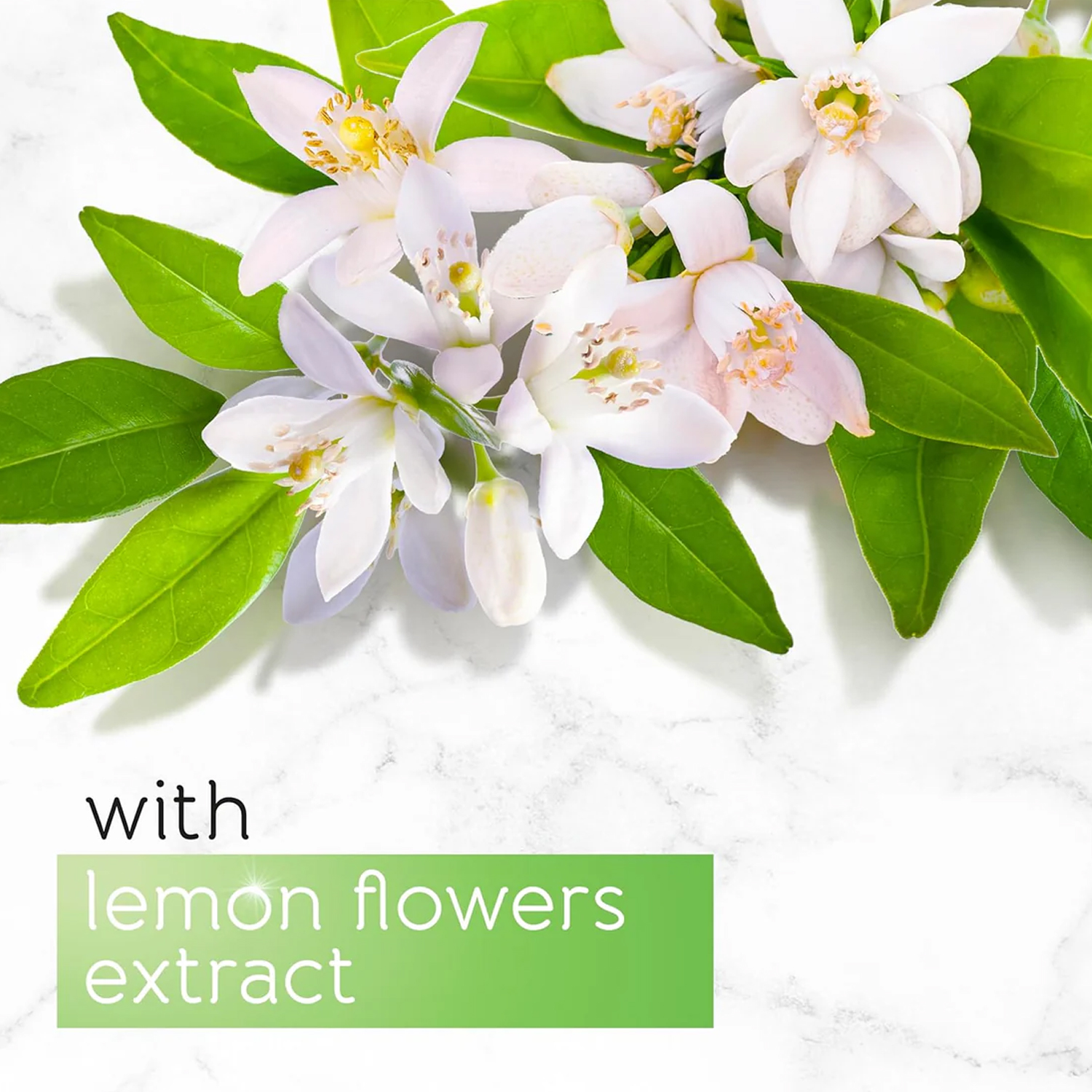 Мыло PEARS С натуральными маслами 3 шт. 375 г - фото 5