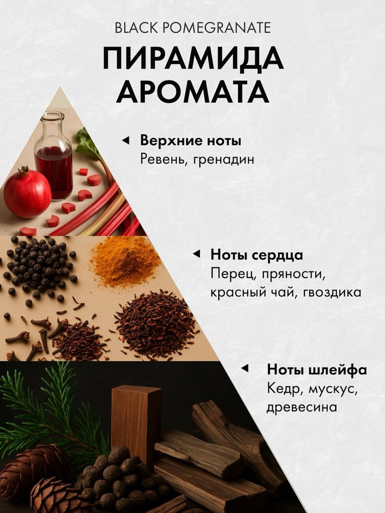 Диффузор с сухоцветами в Премиум тубусе Accents Black Pomegranate - фото 2
