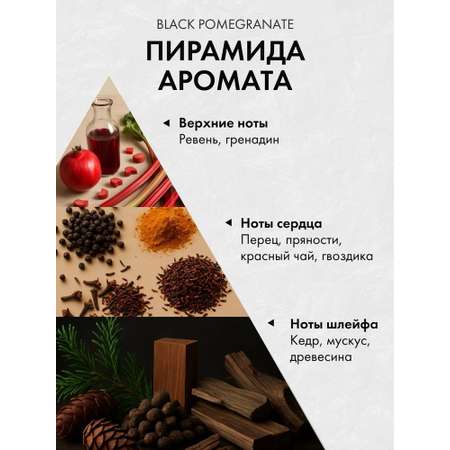 Диффузор с сухоцветами в Премиум тубусе Accents Black Pomegranate
