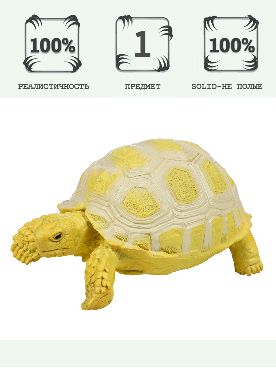 Игровой набор Masai Mara Египетская черепаха - фото 2