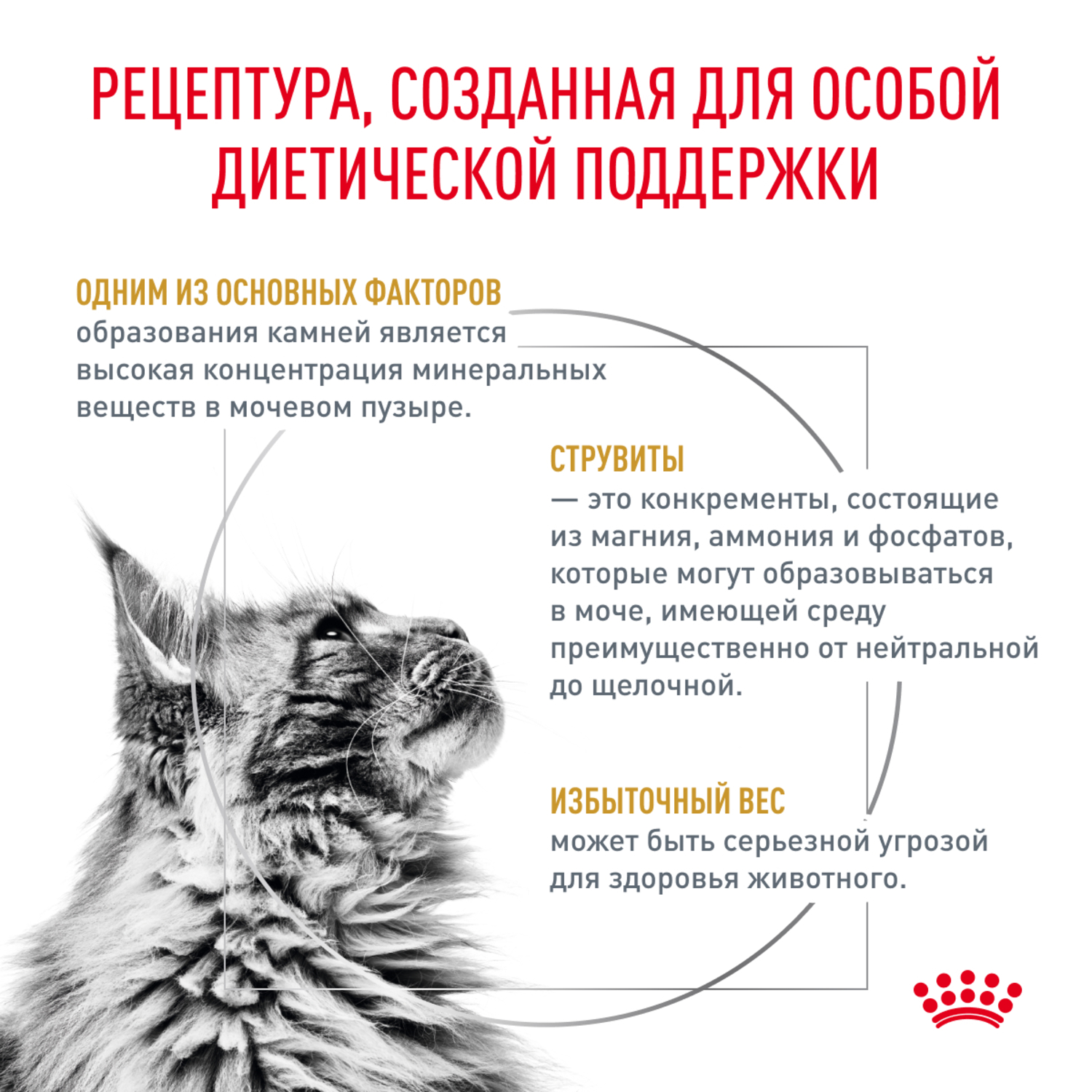 Корм для кошек ROYAL CANIN Urinary s/o moderate calorie от мочекаменной болезни 85г - фото 3