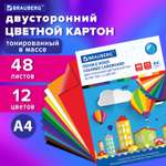 Цветной картон Brauberg 48 лист.