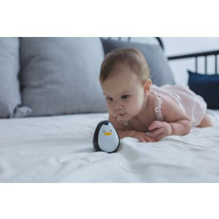 Игрушка Plan Toys неваляшка